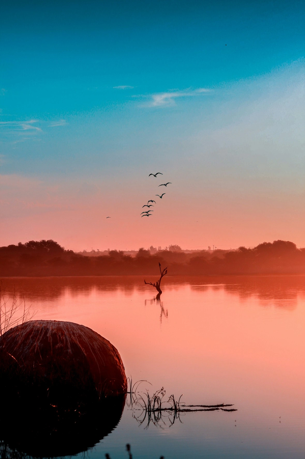 Vue sur les plaines du Botswana et les éléphants du delta de l'Okavango