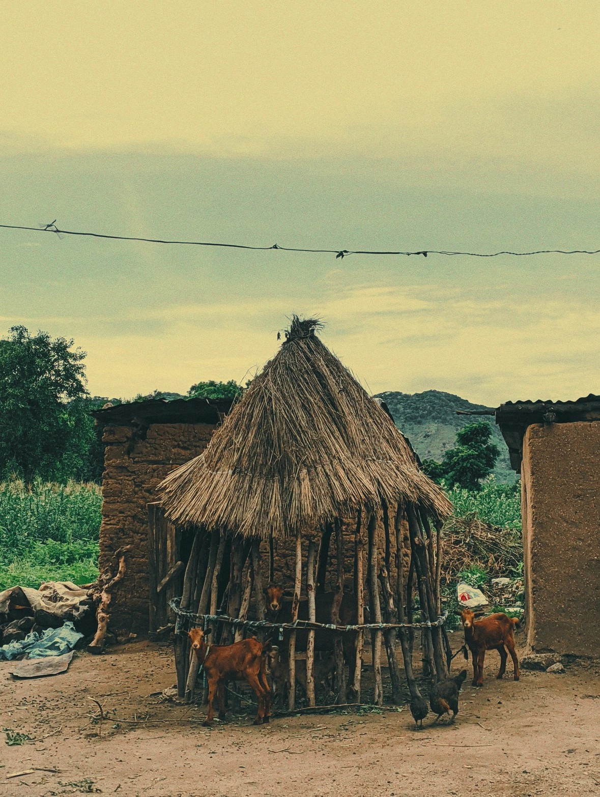 Vue sur Brazzaville le long du fleuve Congo, République du Congo