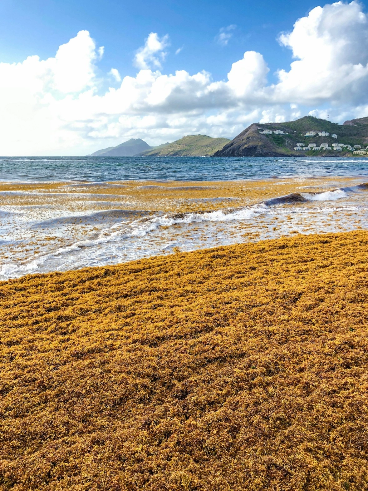 Vue sur les plages de Saint-Kitts-et-Nevis
