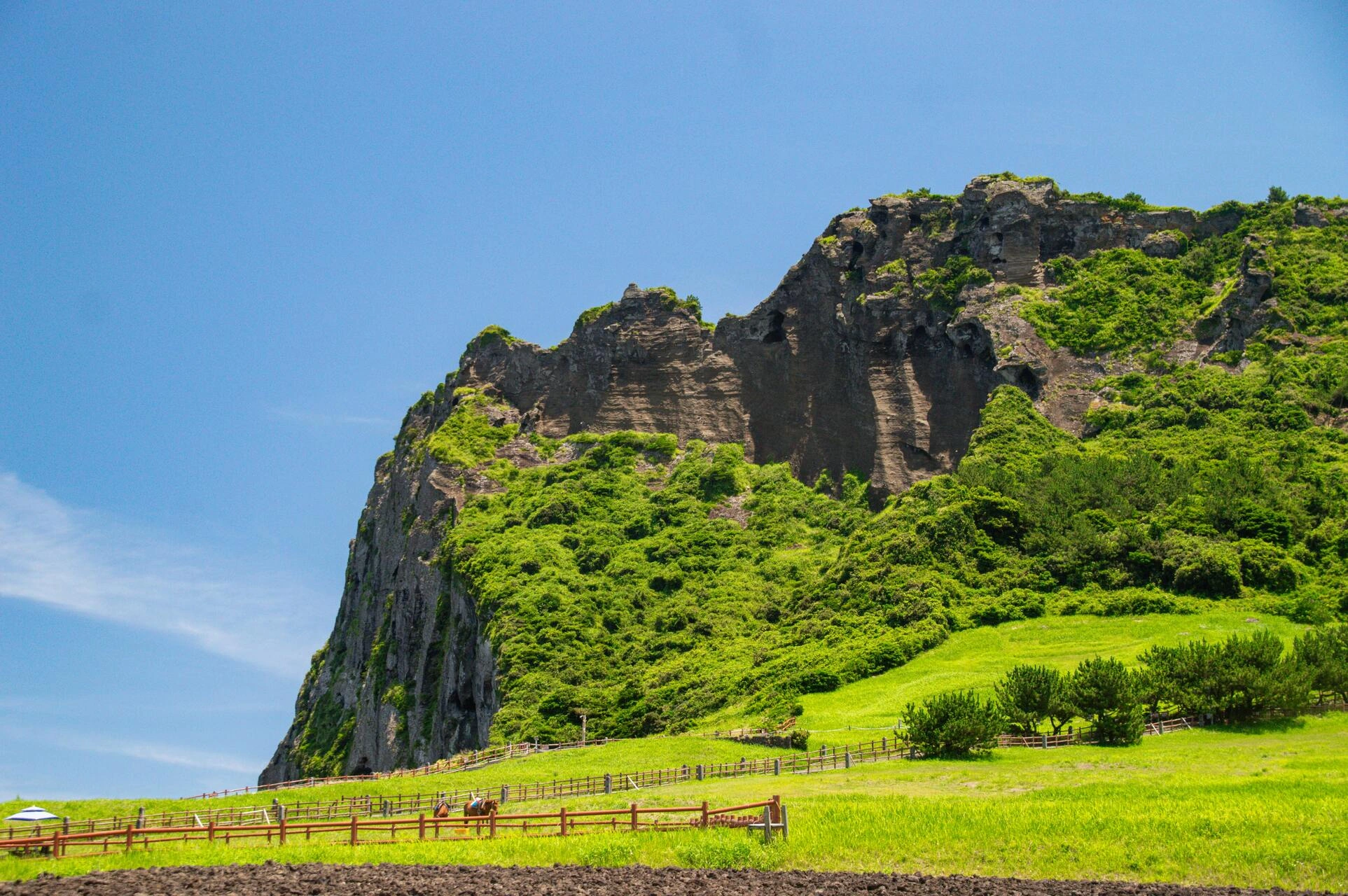4) Jeju Island