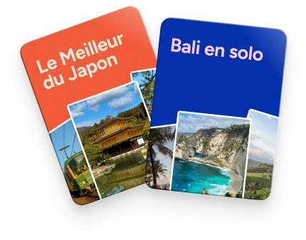Illustration de guides de voyage multiples